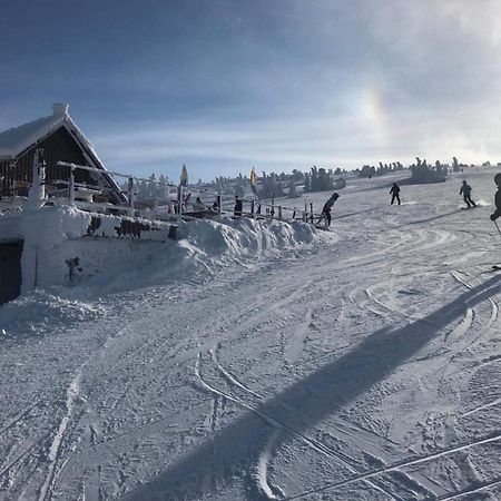 A Pousada Schronisko Pttk Hala Szrenicka Szklarska Poręba Exterior foto